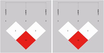 Association between miR-365 polymorphism and ischemic stroke in a Chinese population